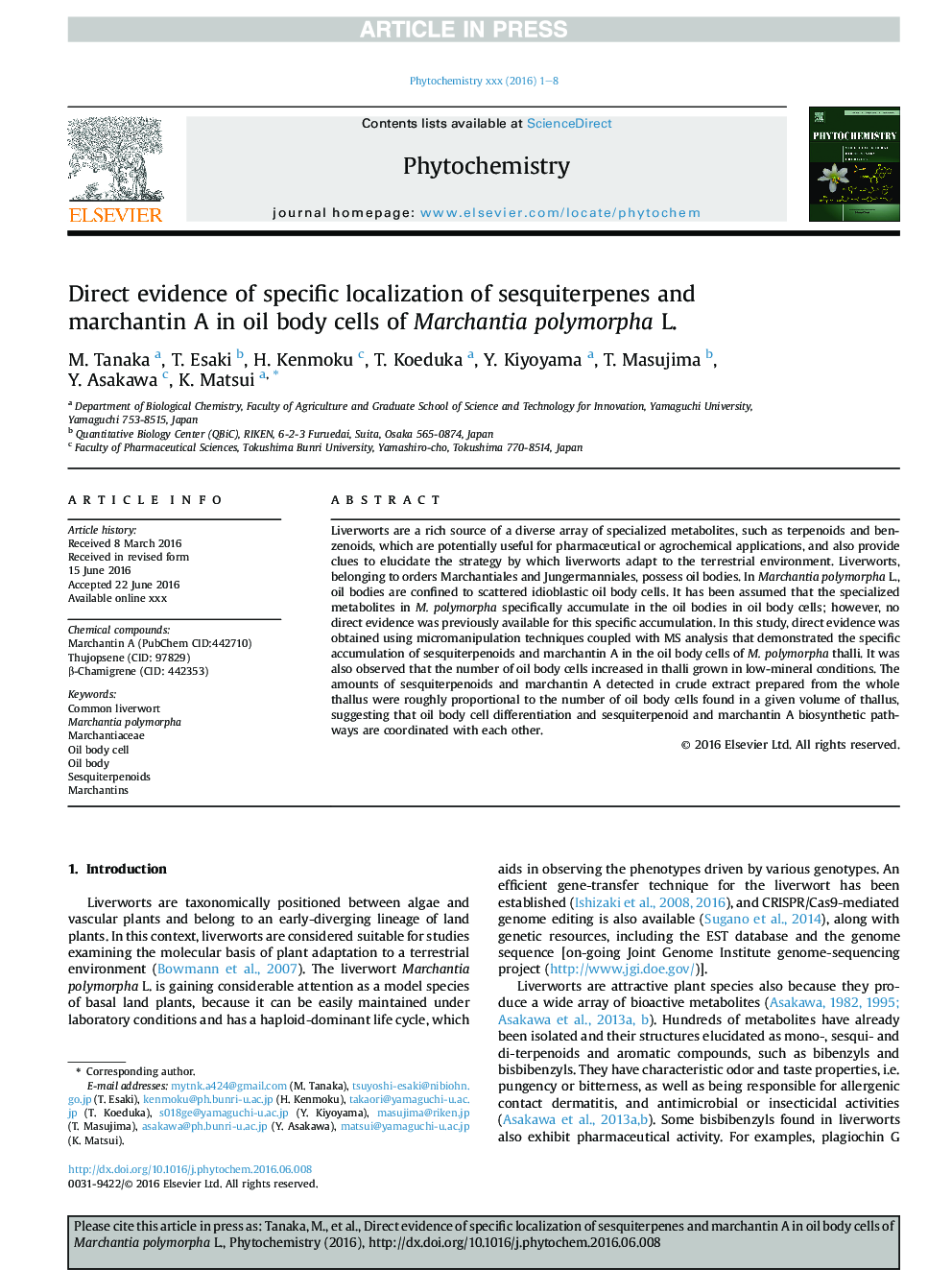 Direct evidence of specific localization of sesquiterpenes and marchantin A in oil body cells of Marchantia polymorpha L.