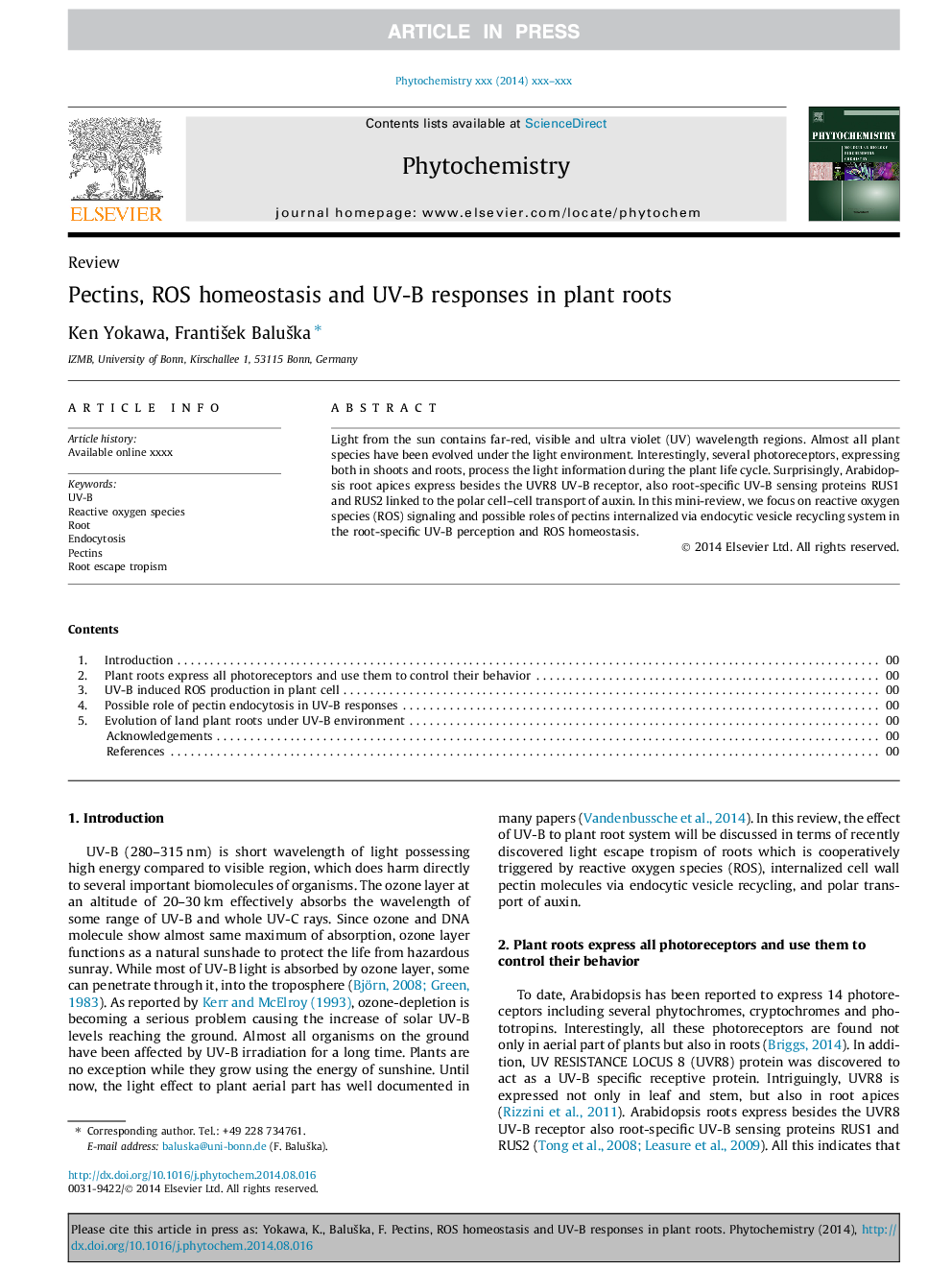 Pectins, ROS homeostasis and UV-B responses in plant roots