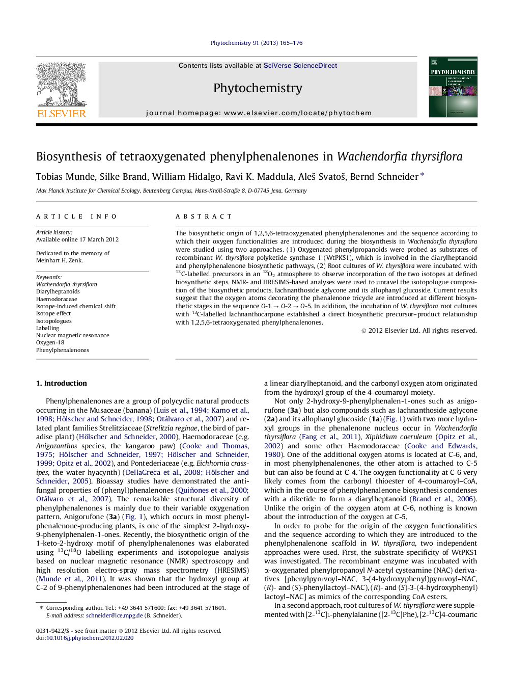 Biosynthesis of tetraoxygenated phenylphenalenones in Wachendorfia thyrsiflora