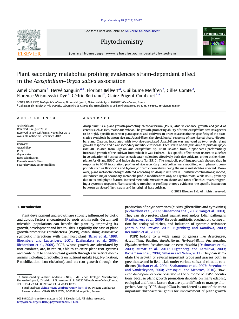Plant secondary metabolite profiling evidences strain-dependent effect in the Azospirillum-Oryza sativa association