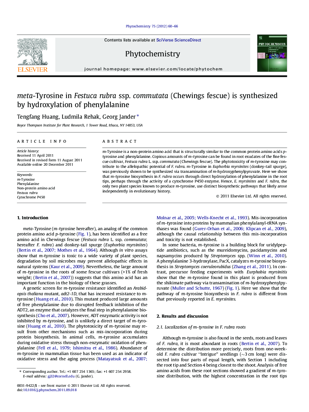 meta-Tyrosine in Festuca rubra ssp. commutata (Chewings fescue) is synthesized by hydroxylation of phenylalanine