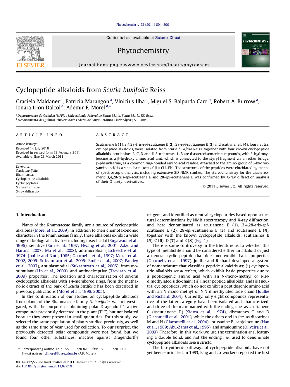 Cyclopeptide alkaloids from Scutia buxifolia Reiss