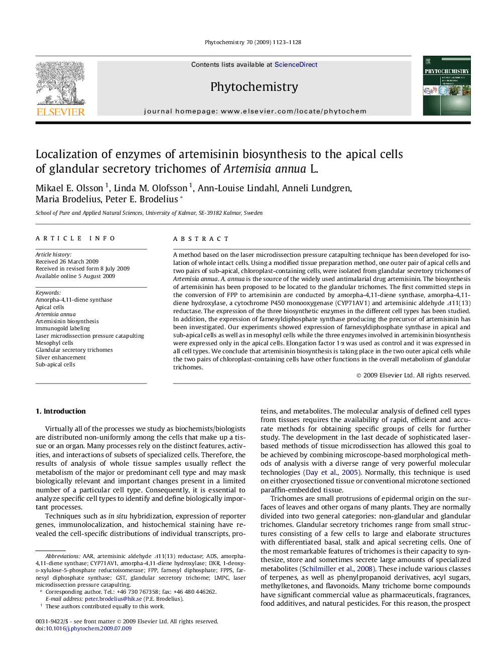 Localization of enzymes of artemisinin biosynthesis to the apical cells of glandular secretory trichomes of Artemisia annua L.