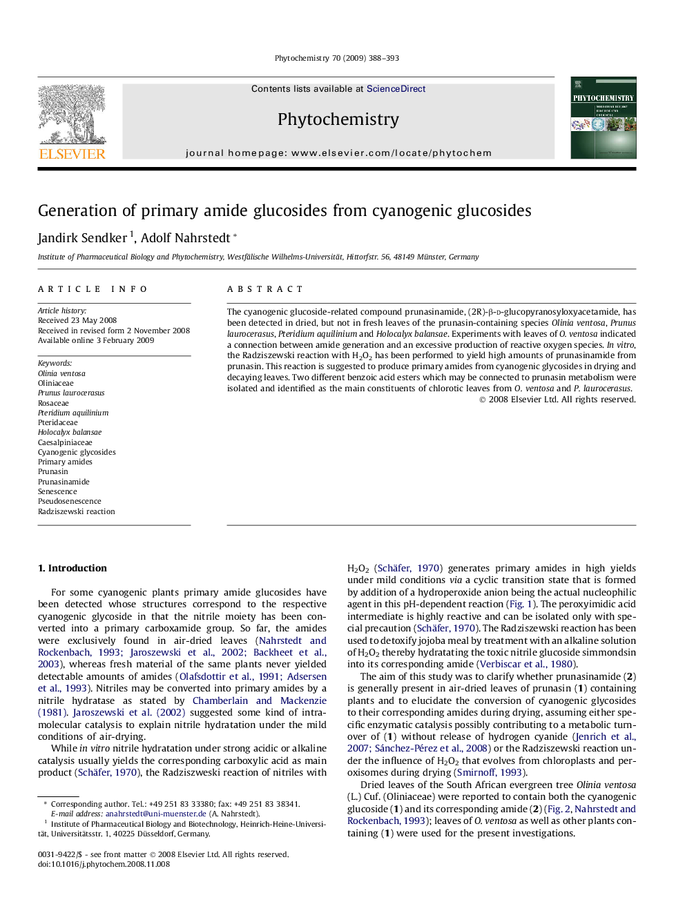 Generation of primary amide glucosides from cyanogenic glucosides