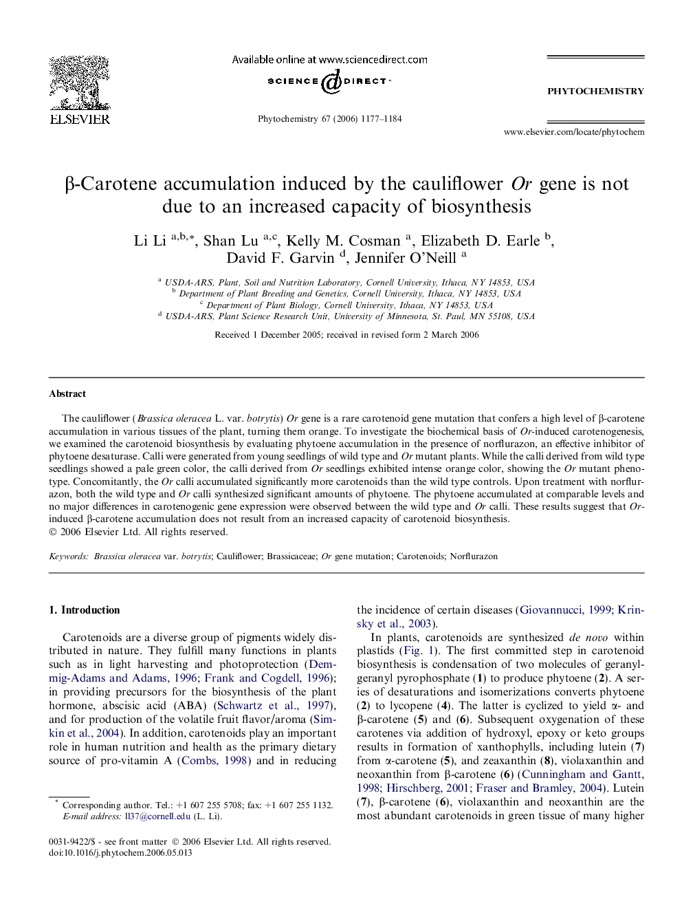 Î²-Carotene accumulation induced by the cauliflower Or gene is not due to an increased capacity of biosynthesis