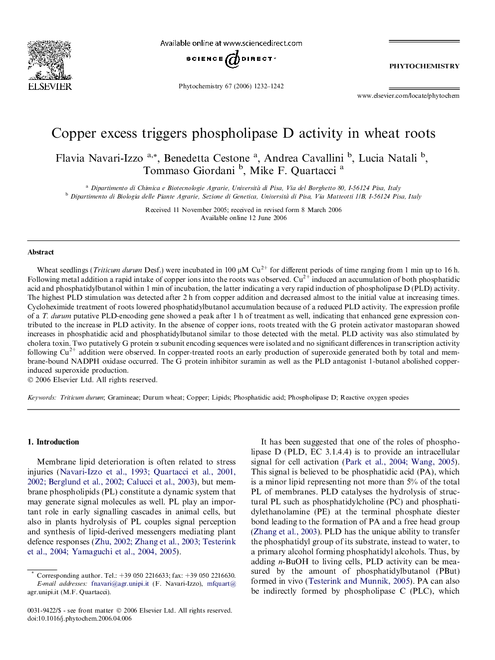 Copper excess triggers phospholipase D activity in wheat roots