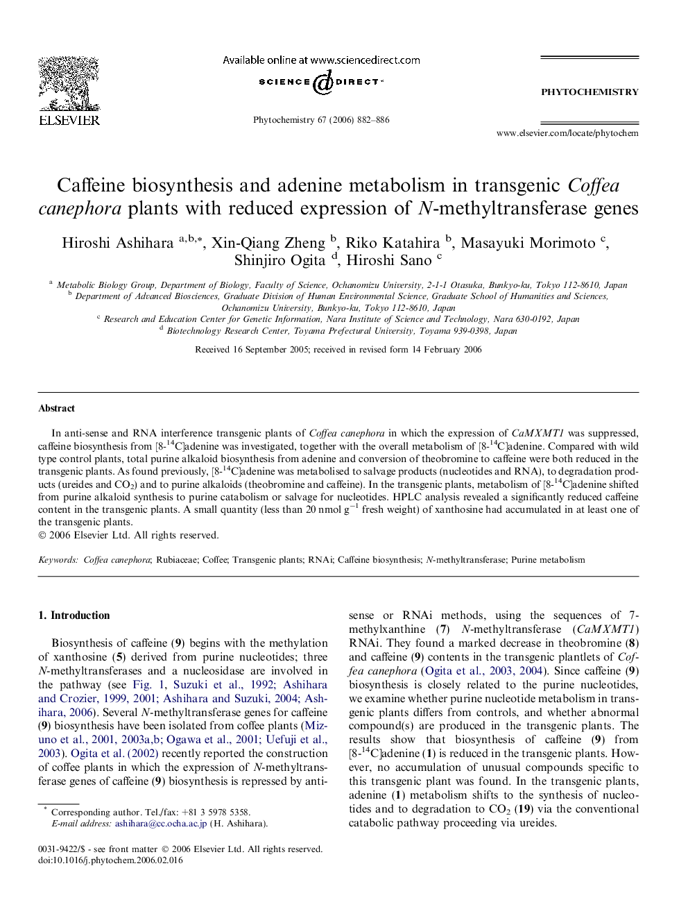 Caffeine biosynthesis and adenine metabolism in transgenic Coffea canephora plants with reduced expression of N-methyltransferase genes