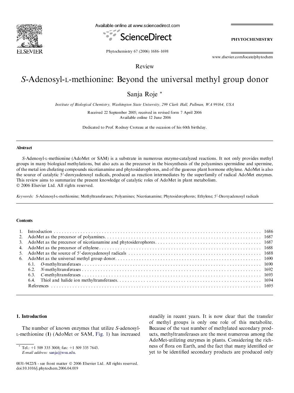 S-Adenosyl-l-methionine: Beyond the universal methyl group donor