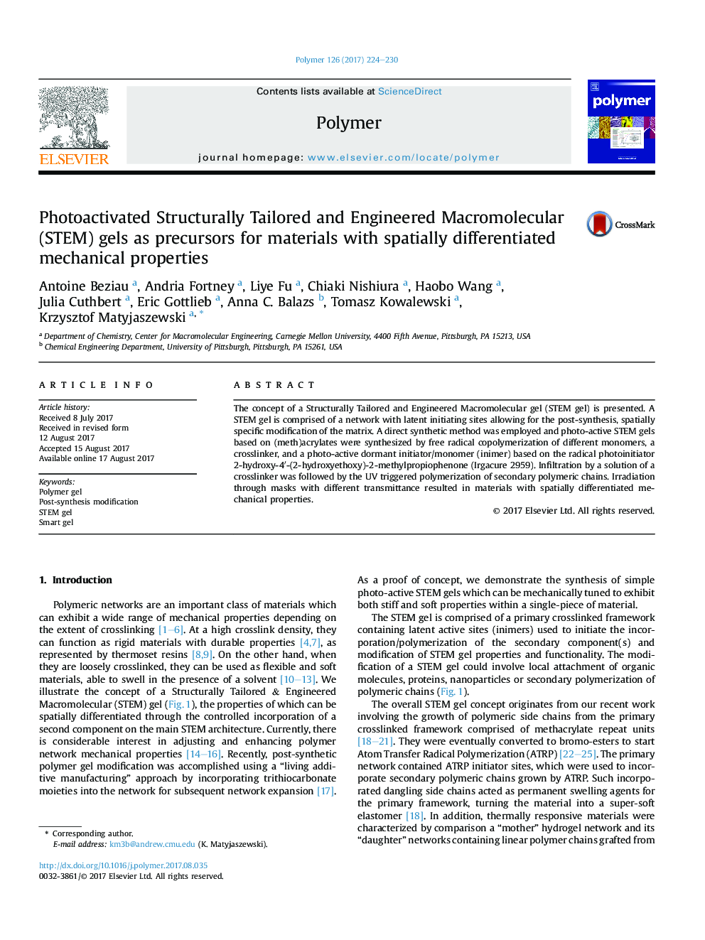 Photoactivated Structurally Tailored and Engineered Macromolecular (STEM) gels as precursors for materials with spatially differentiated mechanical properties