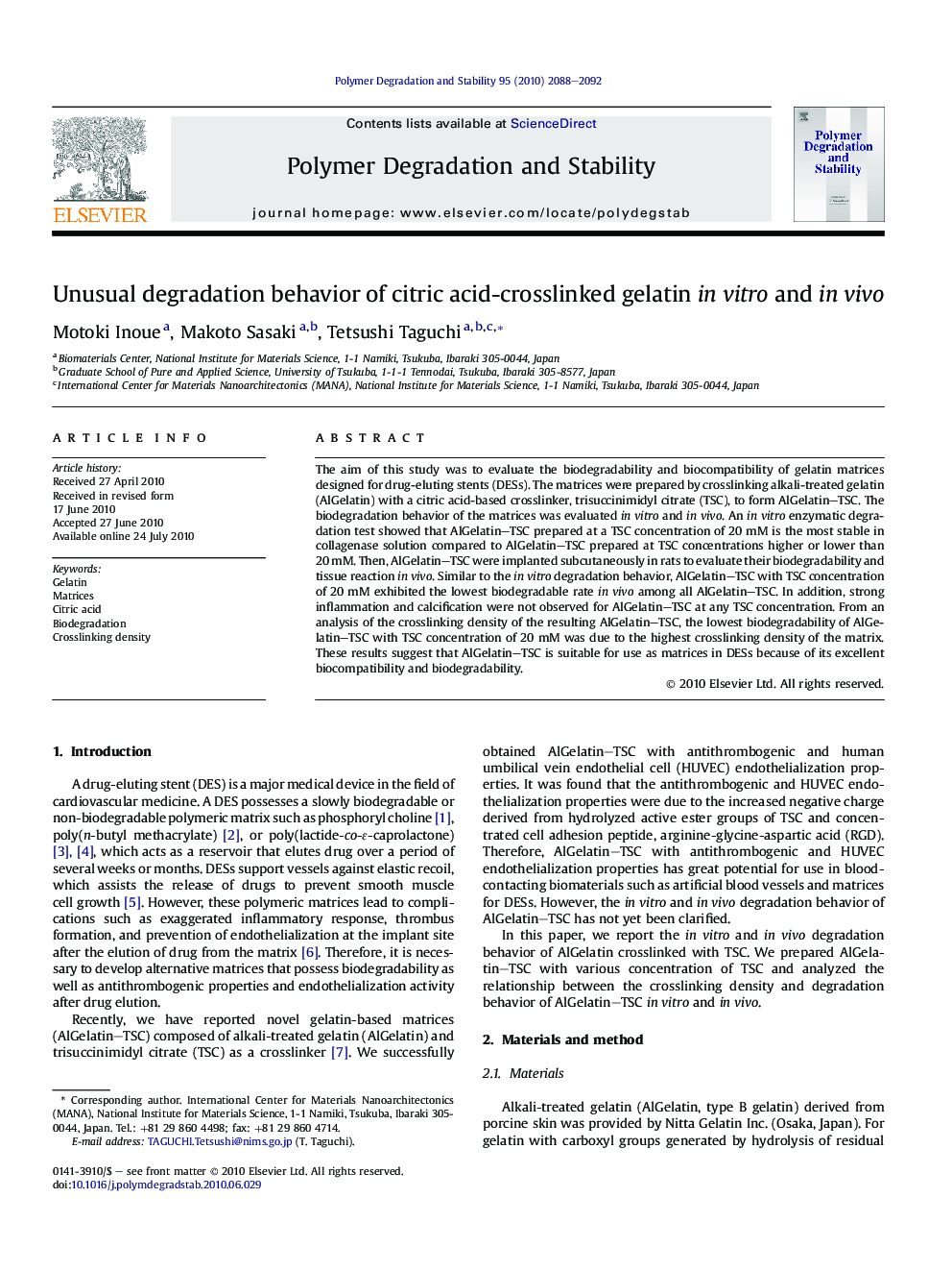 Unusual degradation behavior of citric acid-crosslinked gelatin in vitro and in vivo