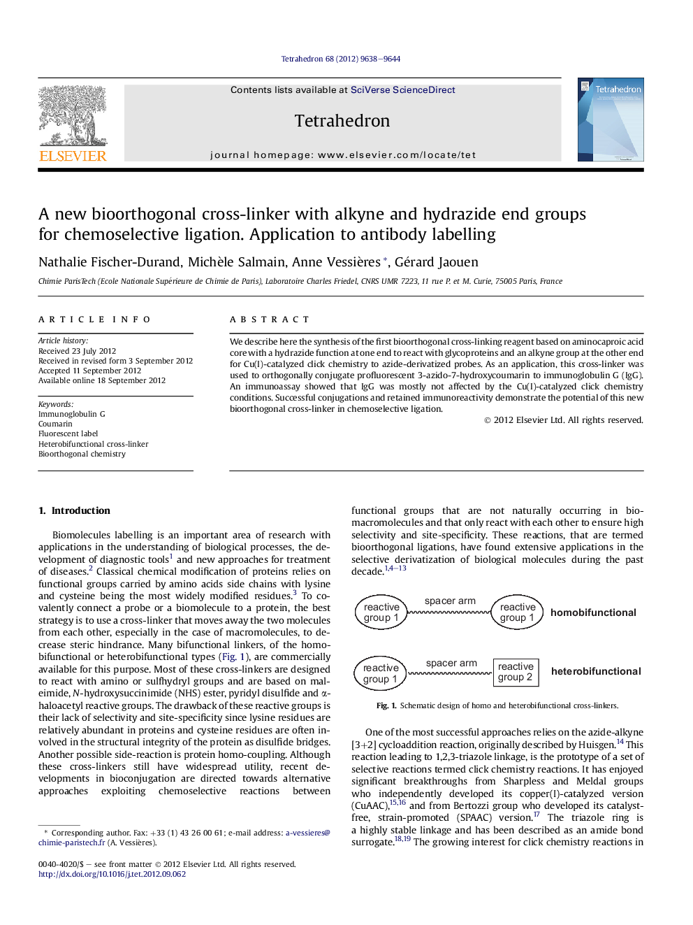 A new bioorthogonal cross-linker with alkyne and hydrazide end groups for chemoselective ligation. Application to antibody labelling