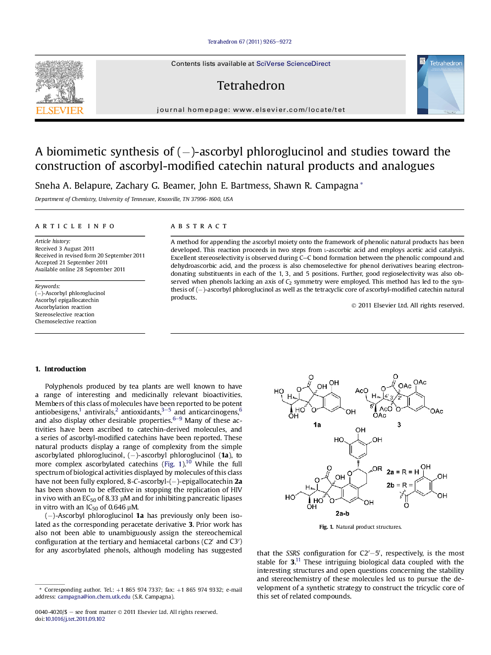 A biomimetic synthesis of (−)-ascorbyl phloroglucinol and studies toward the construction of ascorbyl-modified catechin natural products and analogues