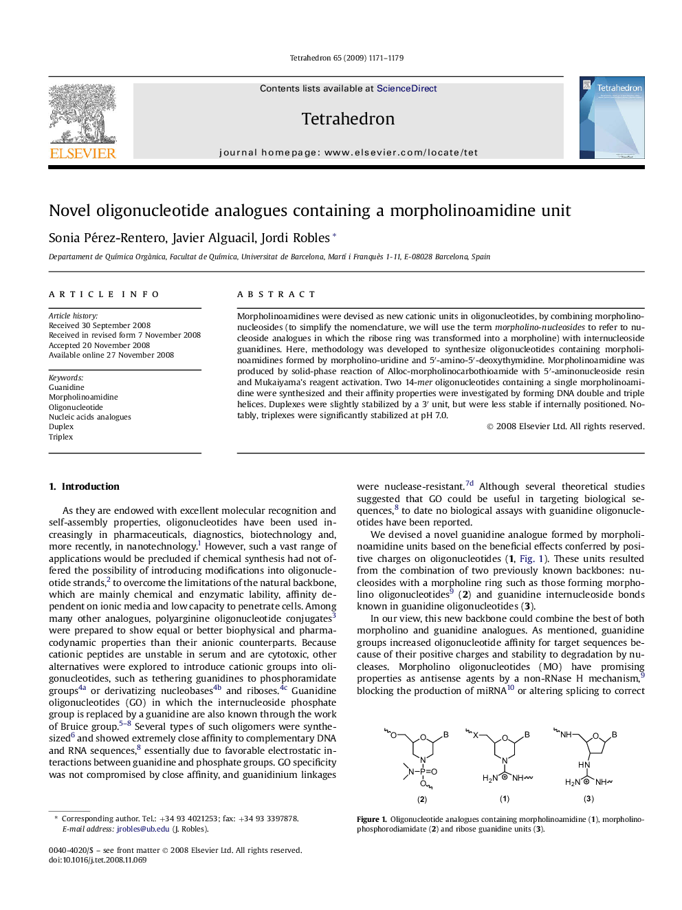 Novel oligonucleotide analogues containing a morpholinoamidine unit