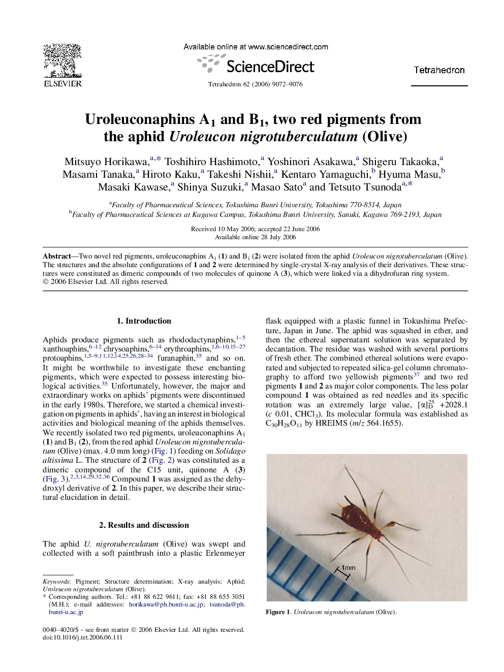 Uroleuconaphins A1 and B1, two red pigments from the aphid Uroleucon nigrotuberculatum (Olive)