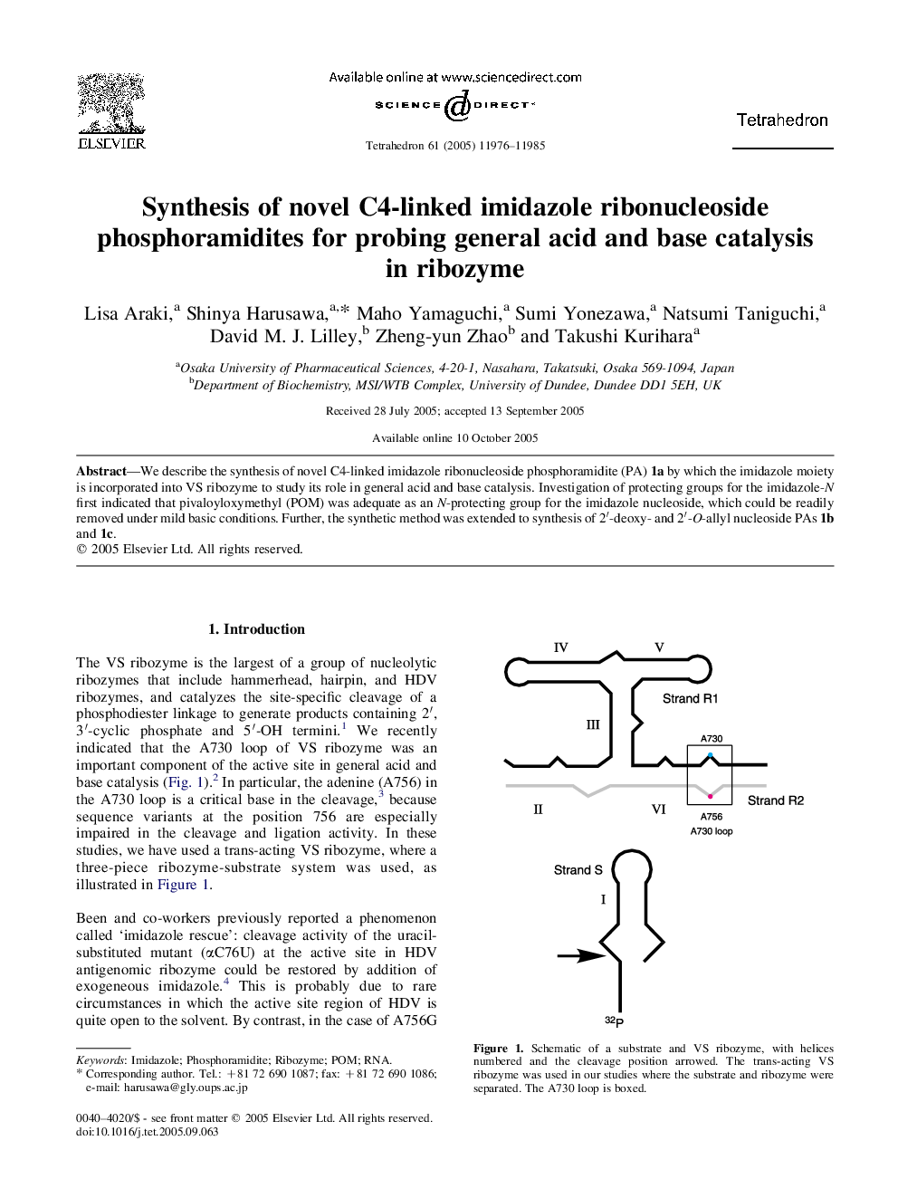 Synthesis of novel C4-linked imidazole ribonucleoside phosphoramidites for probing general acid and base catalysis in ribozyme