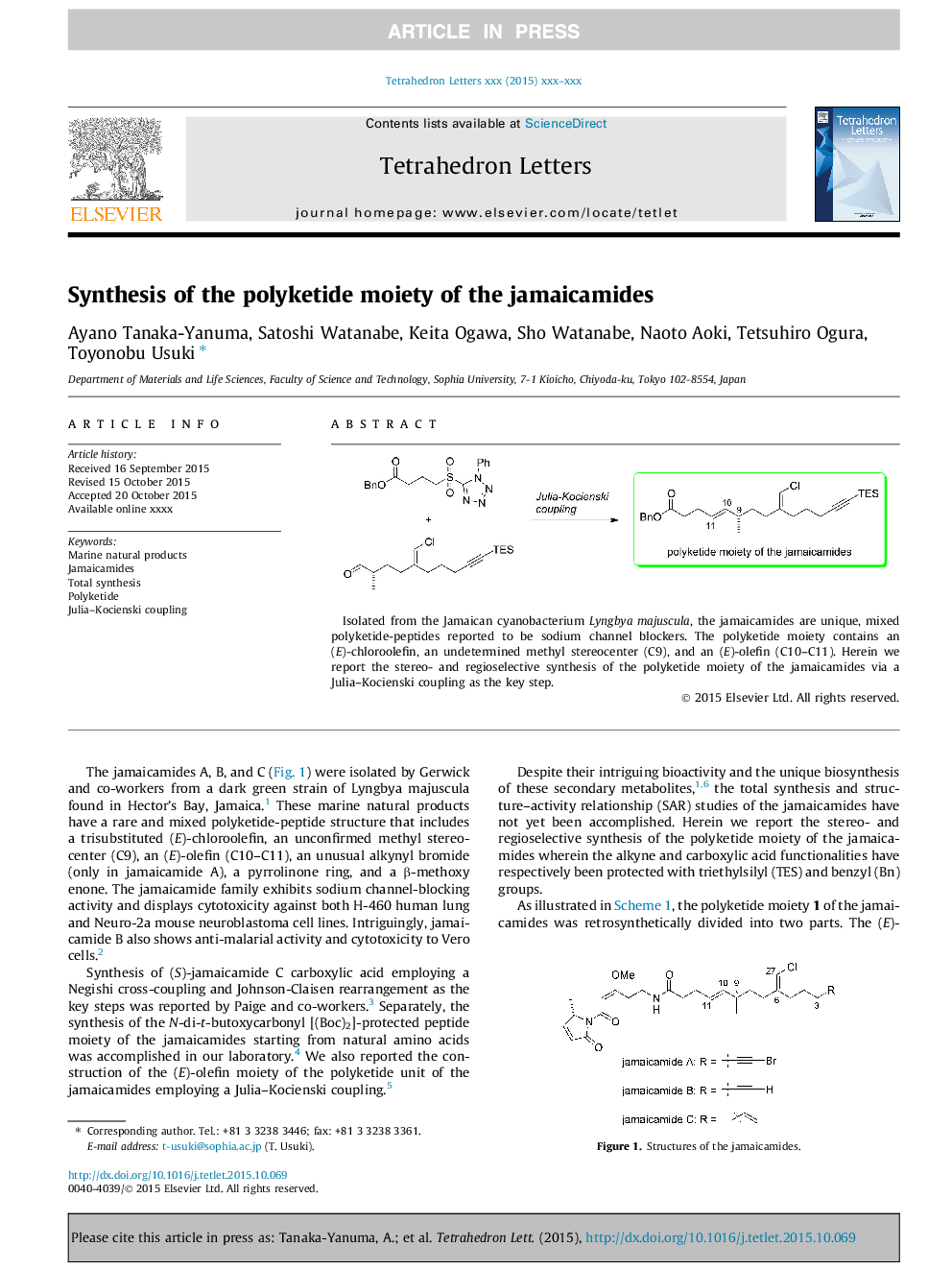 Synthesis of the polyketide moiety of the jamaicamides