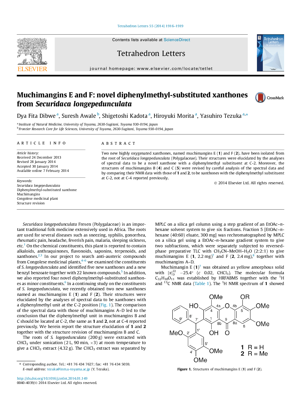 Muchimangins E and F: novel diphenylmethyl-substituted xanthones from Securidaca longepedunculata