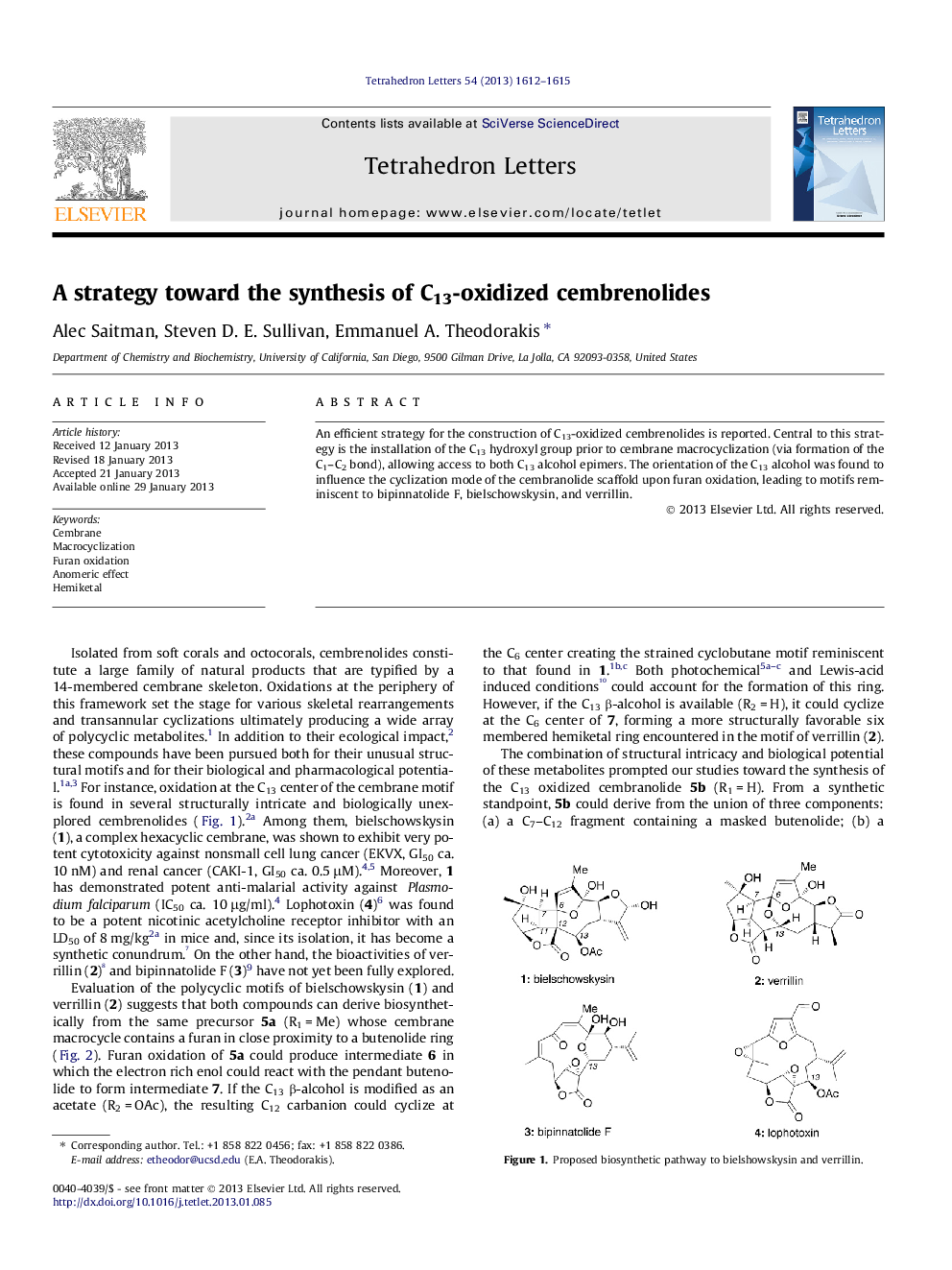 A strategy toward the synthesis of C13-oxidized cembrenolides