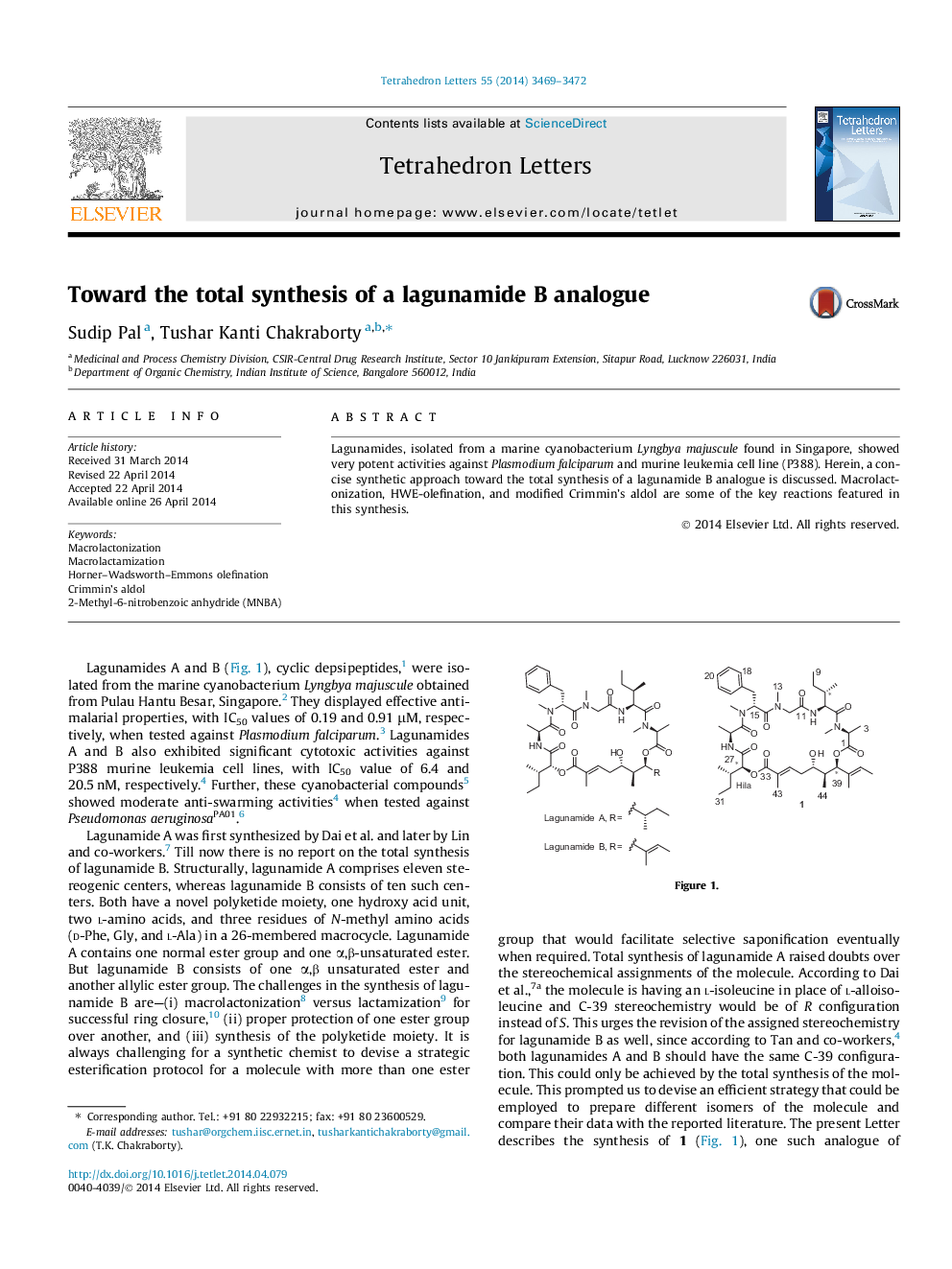 Toward the total synthesis of a lagunamide B analogue