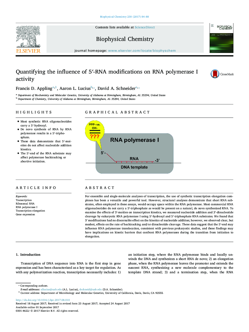 Quantifying the influence of 5â²-RNA modifications on RNA polymerase I activity