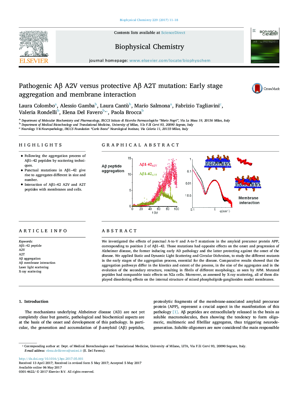 Pathogenic AÎ² A2V versus protective AÎ² A2T mutation: Early stage aggregation and membrane interaction