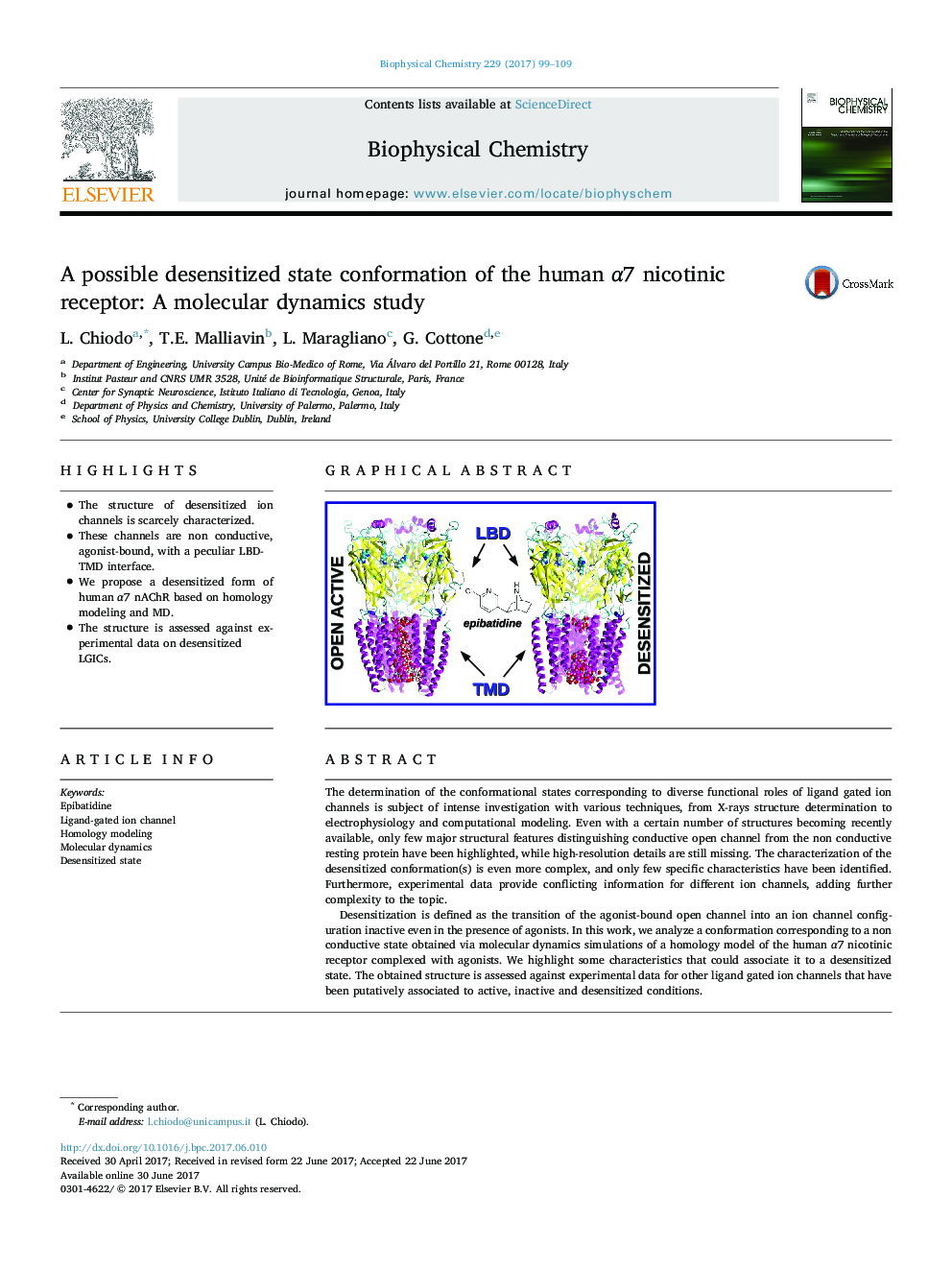 A possible desensitized state conformation of the human Î±7 nicotinic receptor: A molecular dynamics study