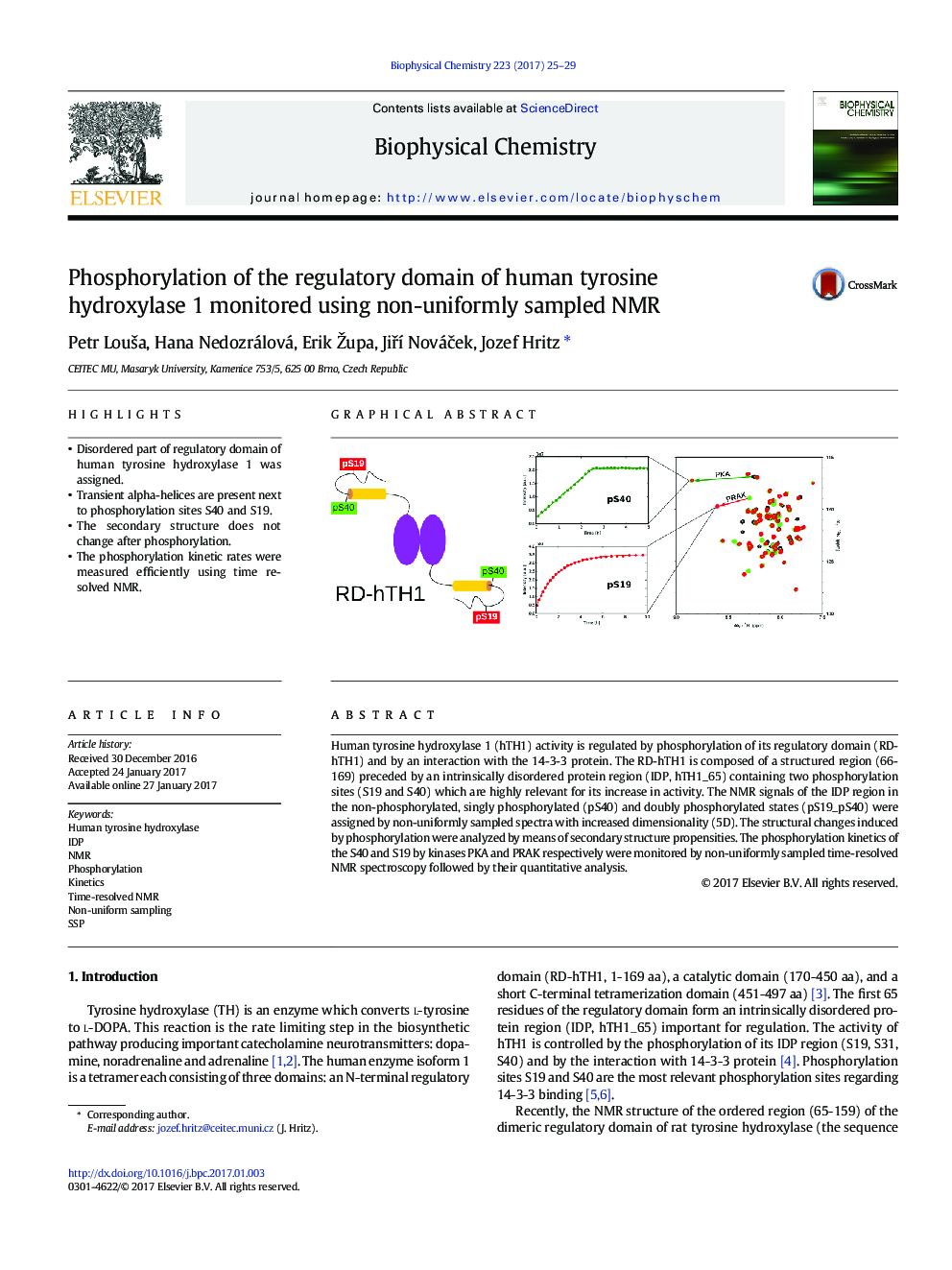 Phosphorylation of the regulatory domain of human tyrosine hydroxylase 1 monitored using non-uniformly sampled NMR