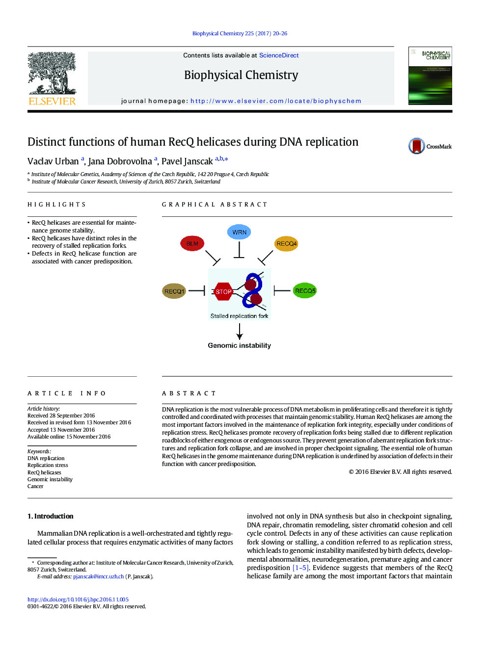 Distinct functions of human RecQ helicases during DNA replication