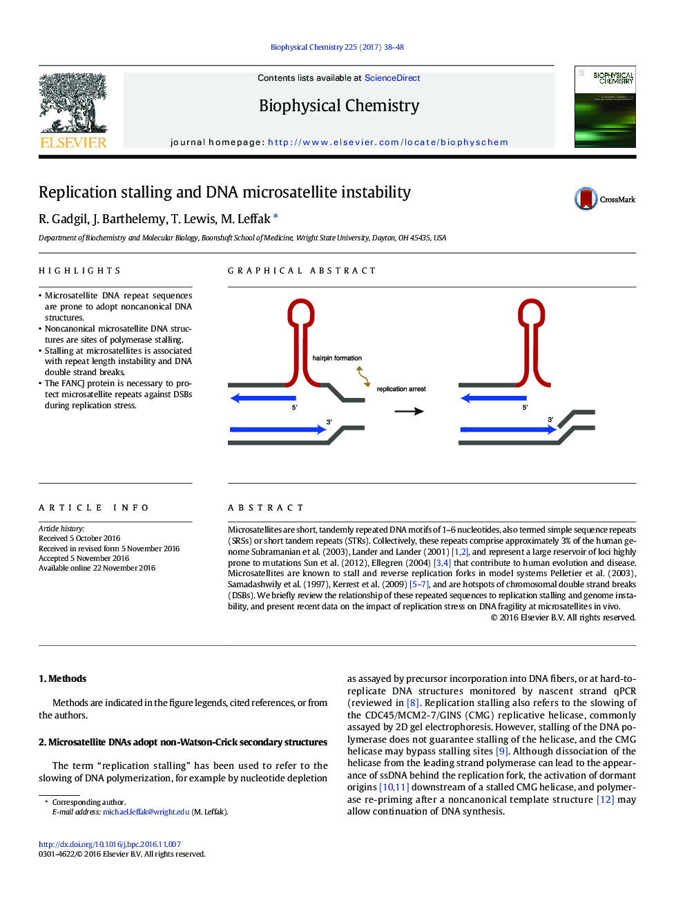 Replication stalling and DNA microsatellite instability