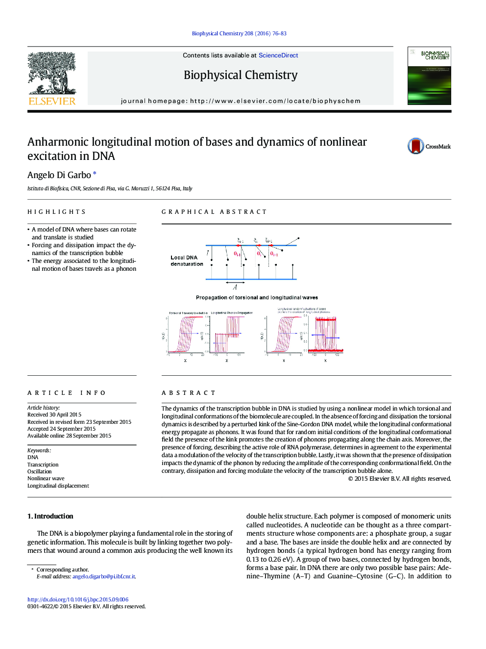 Anharmonic longitudinal motion of bases and dynamics of nonlinear excitation in DNA