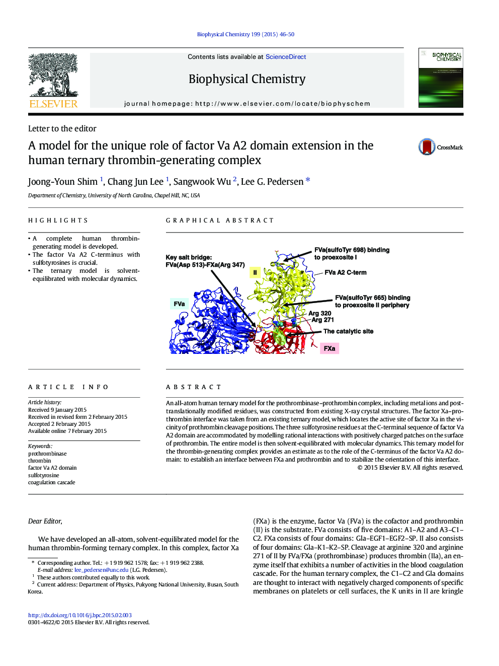 A model for the unique role of factor Va A2 domain extension in the human ternary thrombin-generating complex