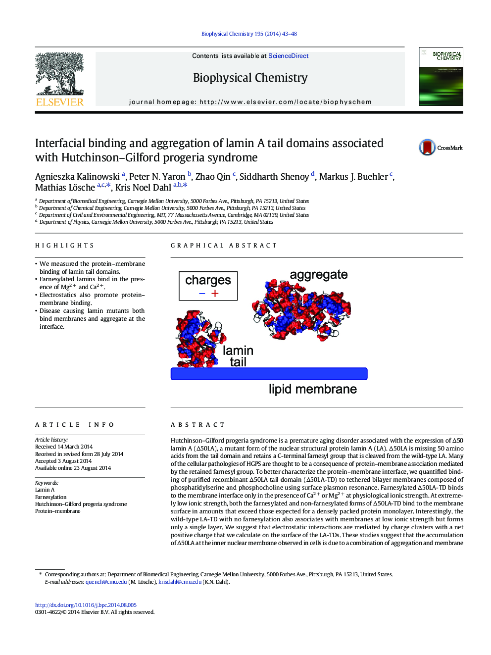 Interfacial binding and aggregation of lamin A tail domains associated with Hutchinson-Gilford progeria syndrome