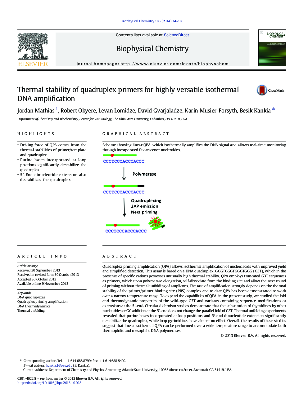 Thermal stability of quadruplex primers for highly versatile isothermal DNA amplification