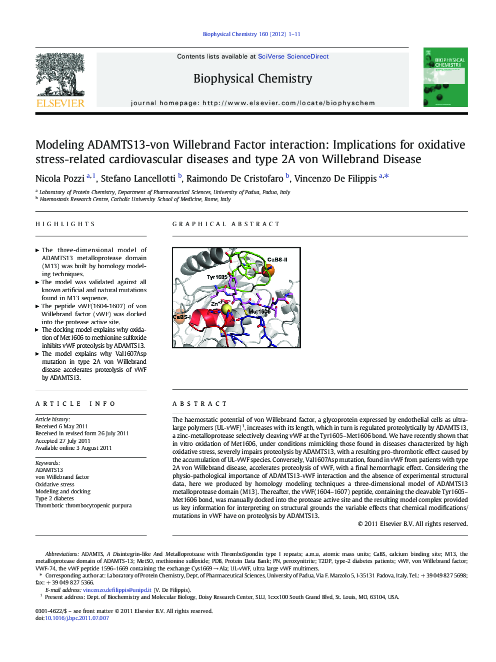 Modeling ADAMTS13-von Willebrand Factor interaction: Implications for oxidative stress-related cardiovascular diseases and type 2A von Willebrand Disease