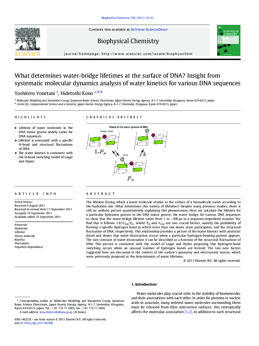 What determines water-bridge lifetimes at the surface of DNA? Insight from systematic molecular dynamics analysis of water kinetics for various DNA sequences