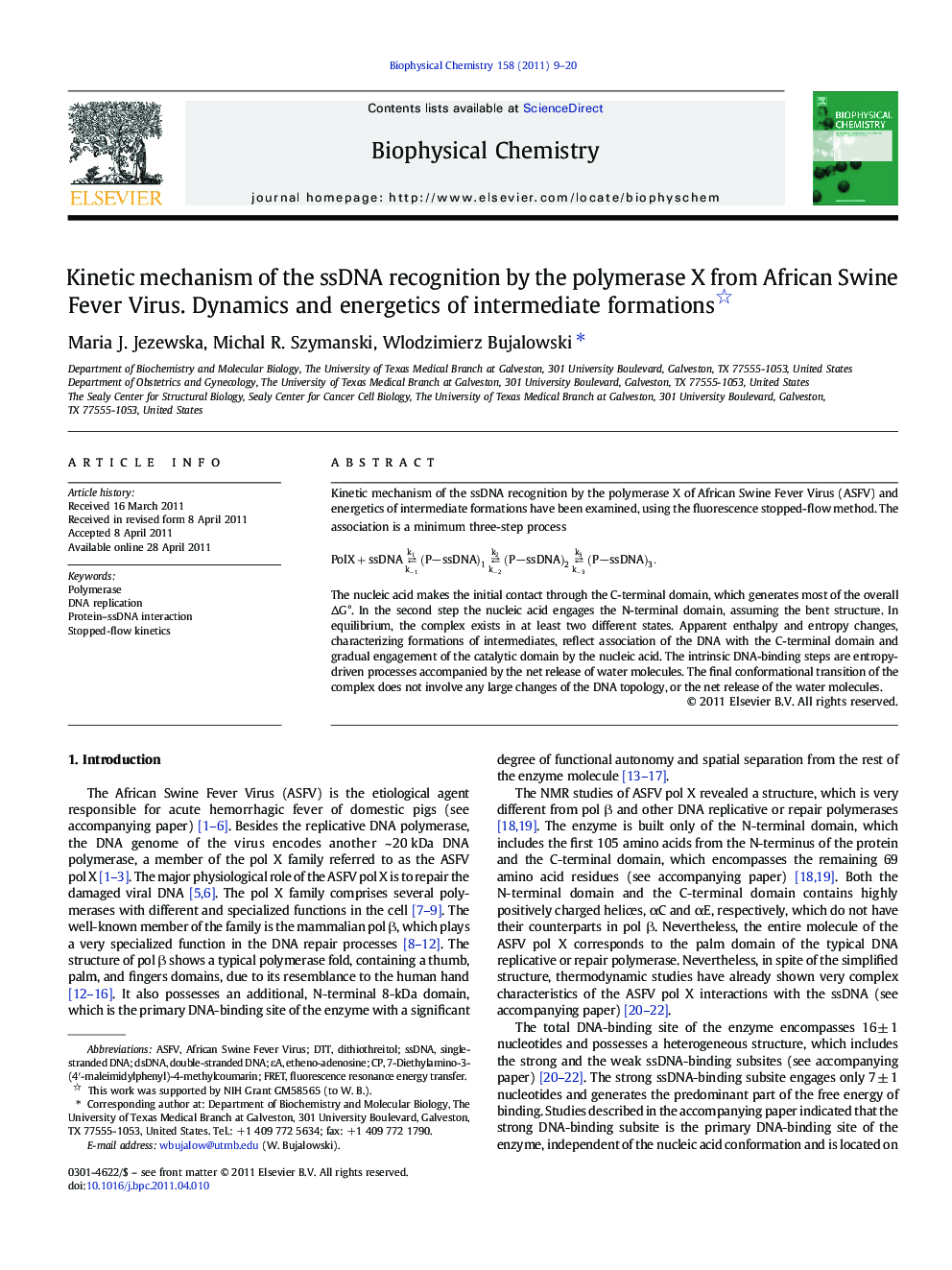 Kinetic mechanism of the ssDNA recognition by the polymerase X from African Swine Fever Virus. Dynamics and energetics of intermediate formations