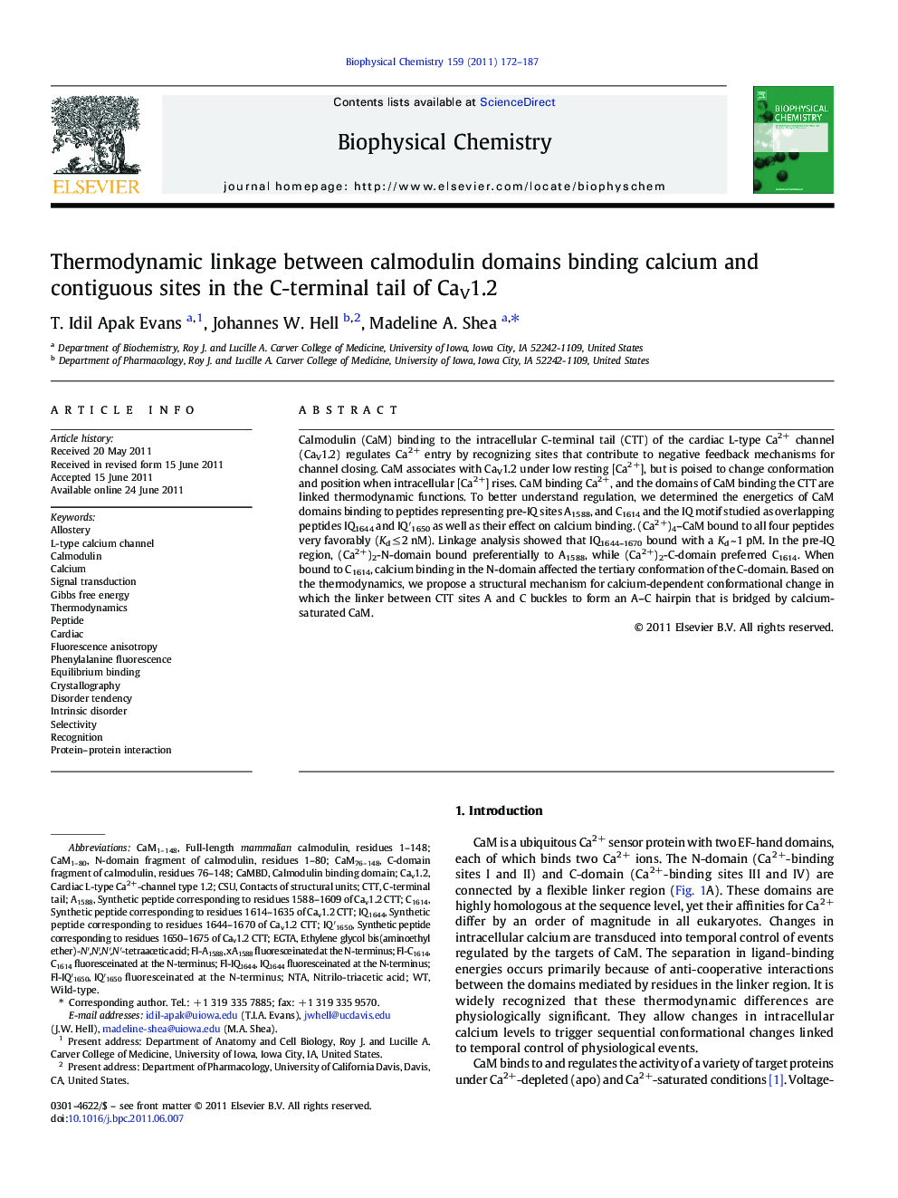 Thermodynamic linkage between calmodulin domains binding calcium and contiguous sites in the C-terminal tail of CaV1.2