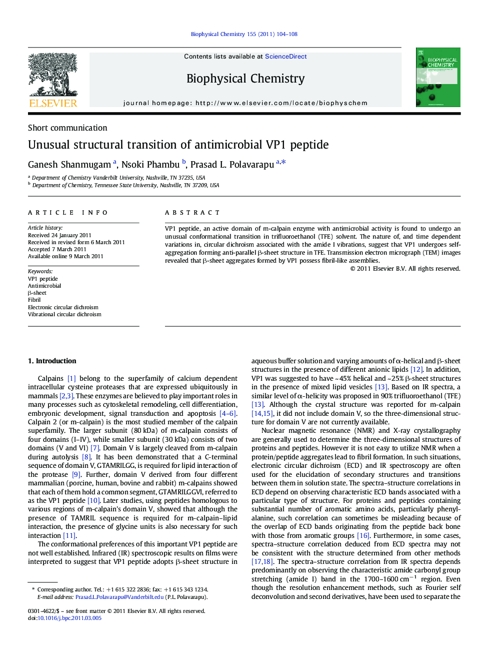 Unusual structural transition of antimicrobial VP1 peptide