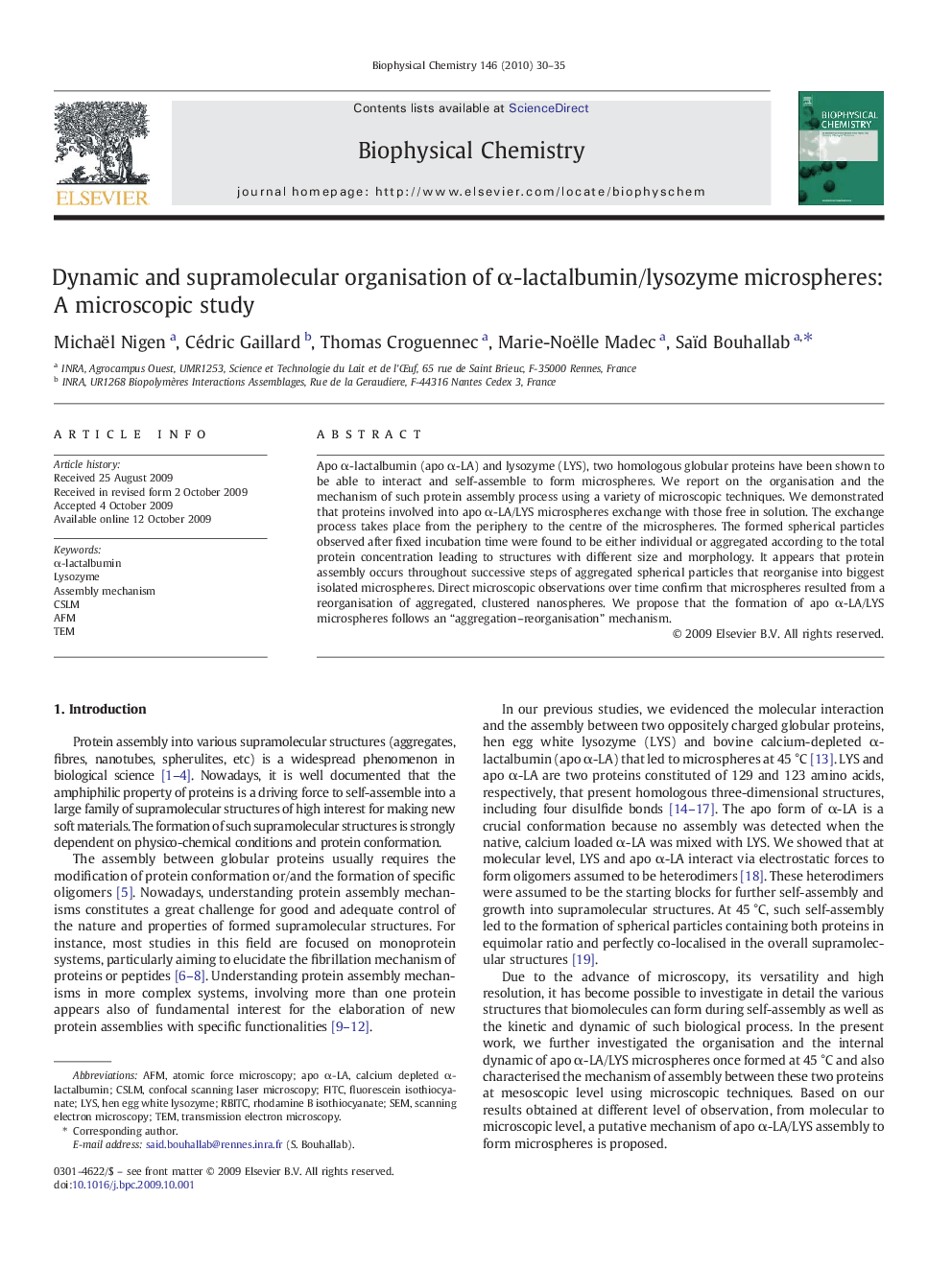 Dynamic and supramolecular organisation of Î±-lactalbumin/lysozyme microspheres: A microscopic study