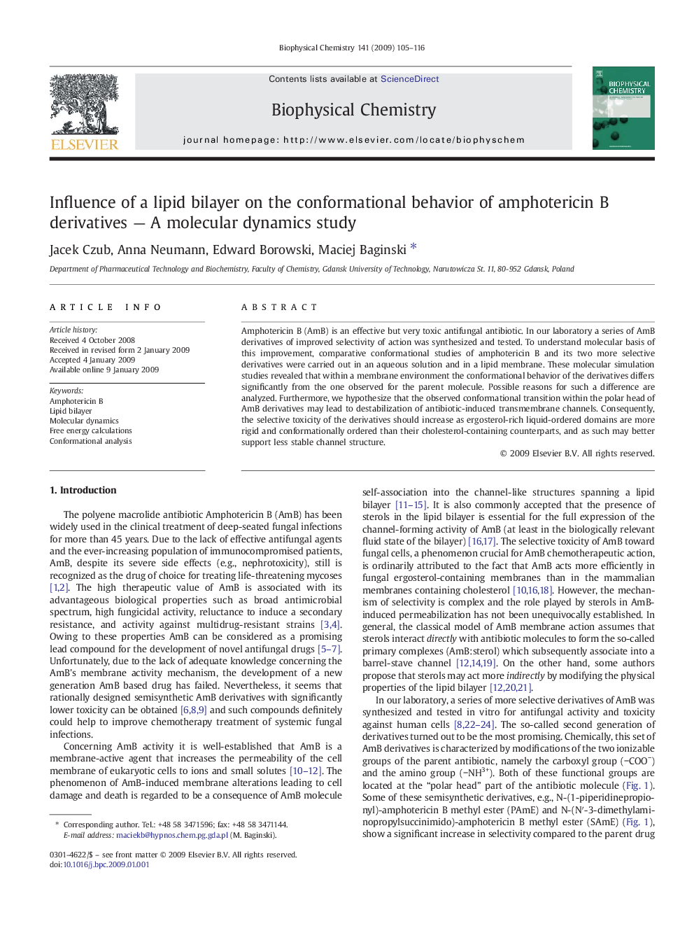 Influence of a lipid bilayer on the conformational behavior of amphotericin B derivatives - A molecular dynamics study