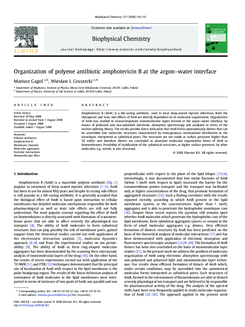 Organization of polyene antibiotic amphotericin B at the argon-water interface