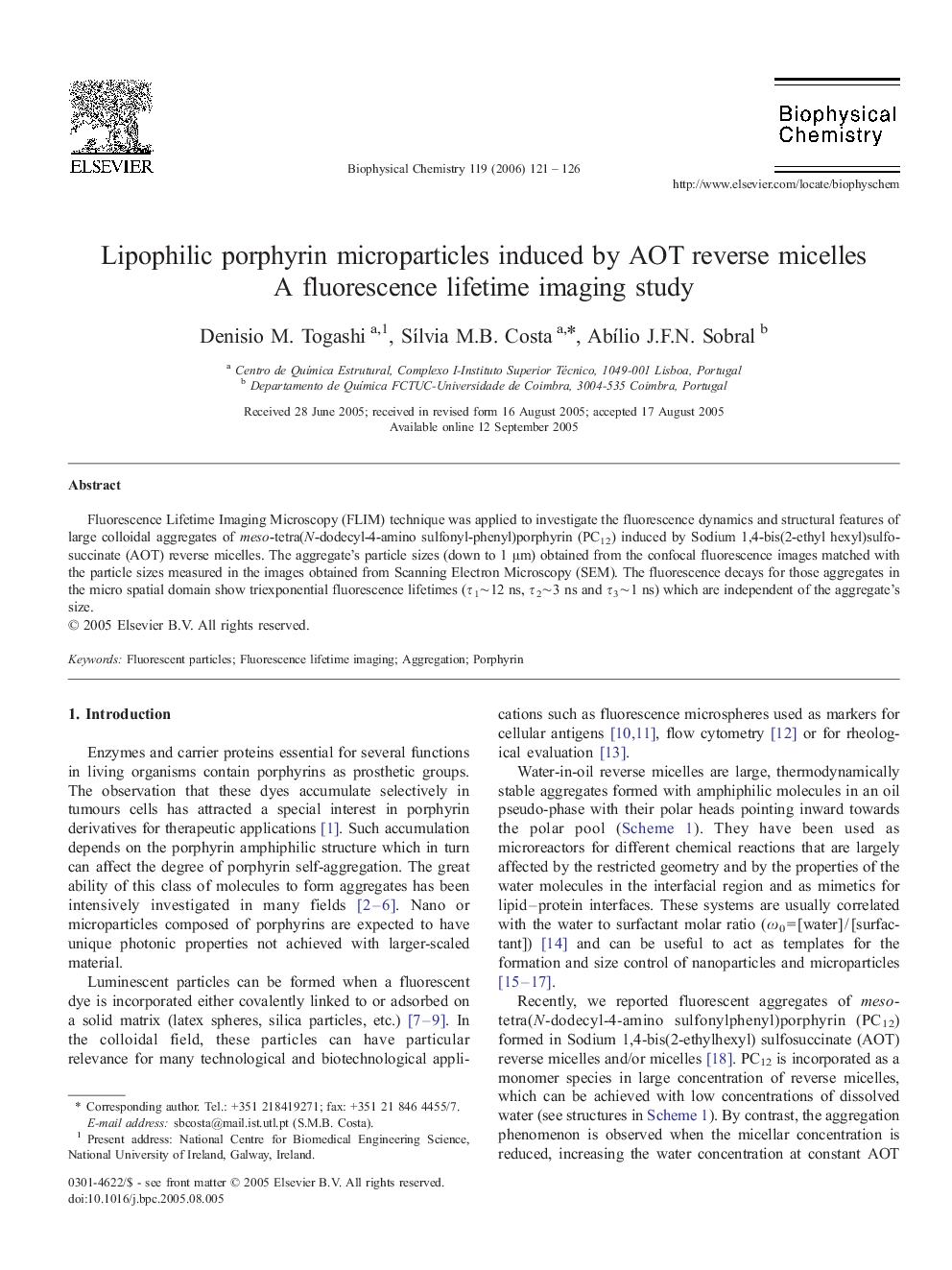 Lipophilic porphyrin microparticles induced by AOT reverse micelles: A fluorescence lifetime imaging study