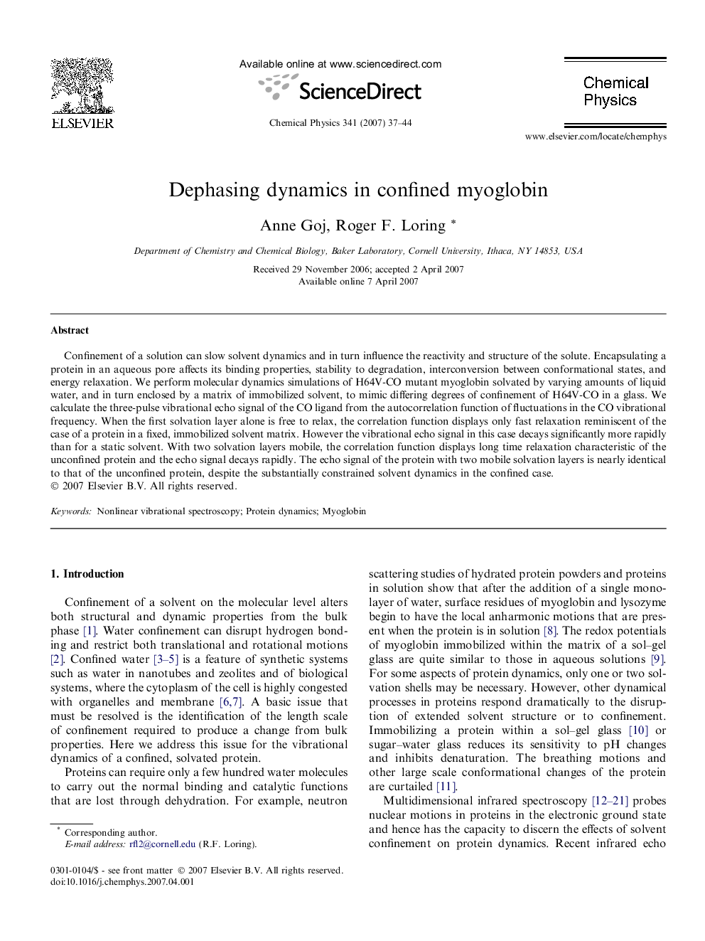 Dephasing dynamics in confined myoglobin