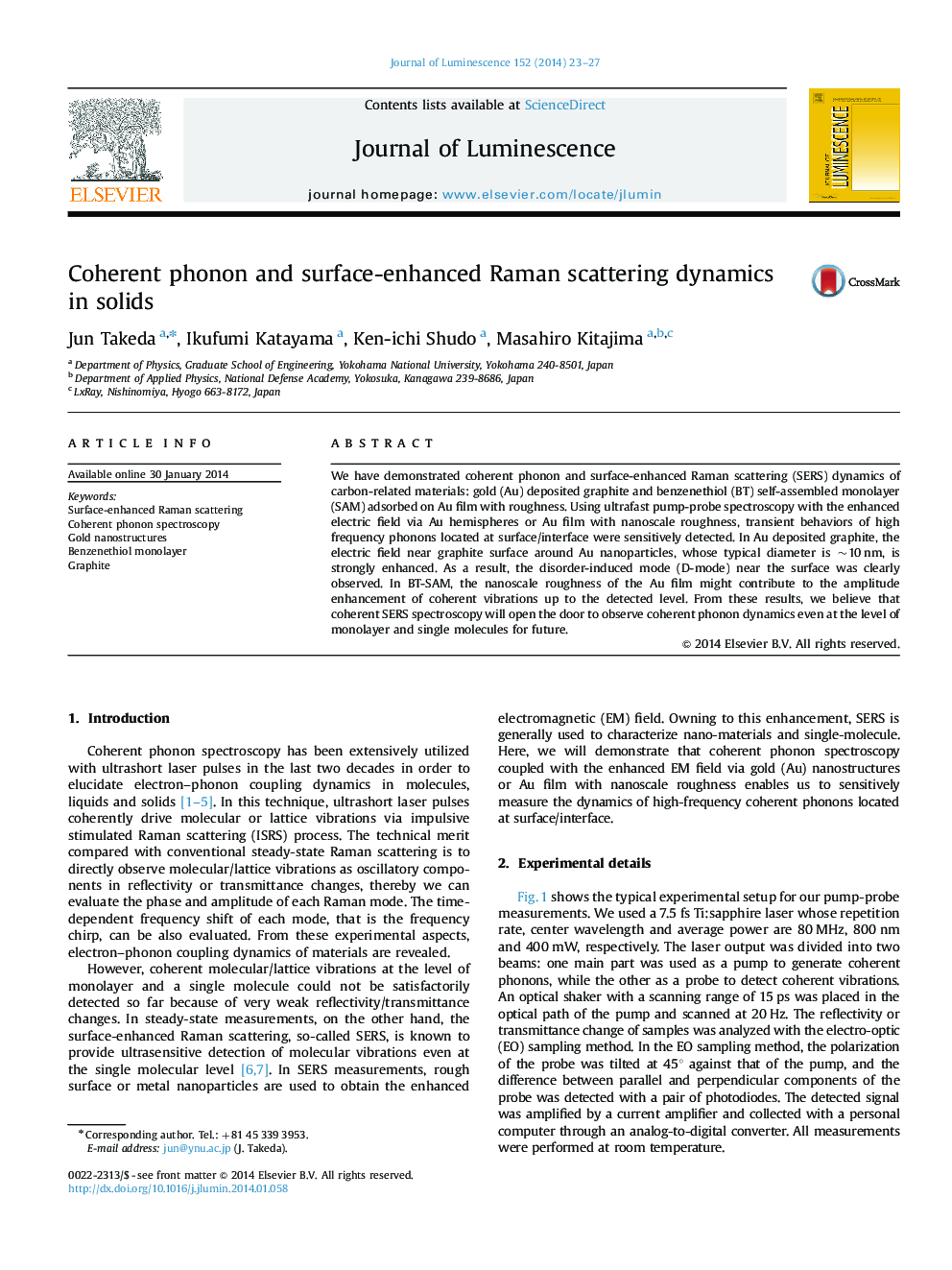 Coherent phonon and surface-enhanced Raman scattering dynamics in solids