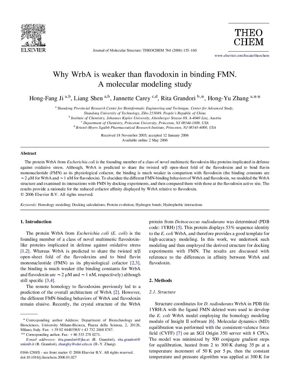 Why WrbA is weaker than flavodoxin in binding FMN. A molecular modeling study