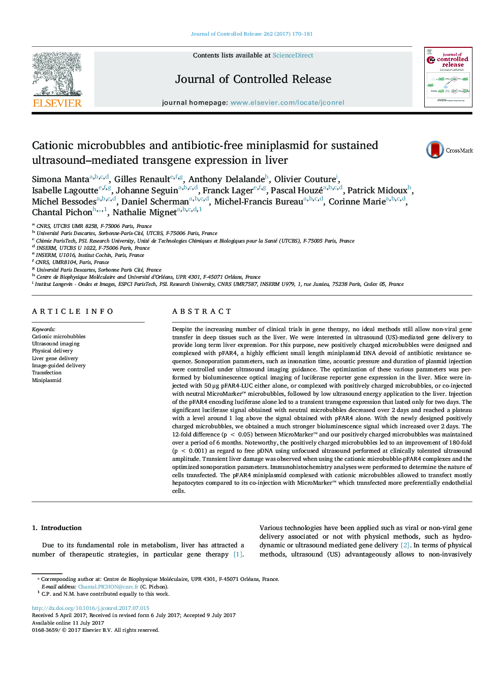 Cationic microbubbles and antibiotic-free miniplasmid for sustained ultrasound-mediated transgene expression in liver