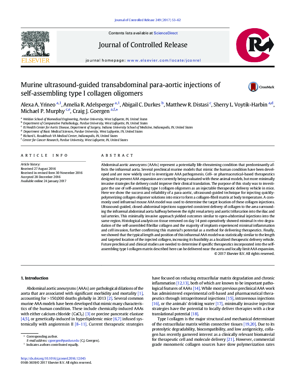 Murine ultrasound-guided transabdominal para-aortic injections of self-assembling type I collagen oligomers