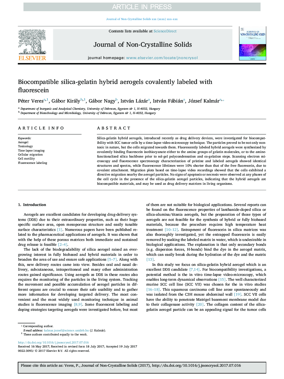 Biocompatible silica-gelatin hybrid aerogels covalently labeled with fluorescein