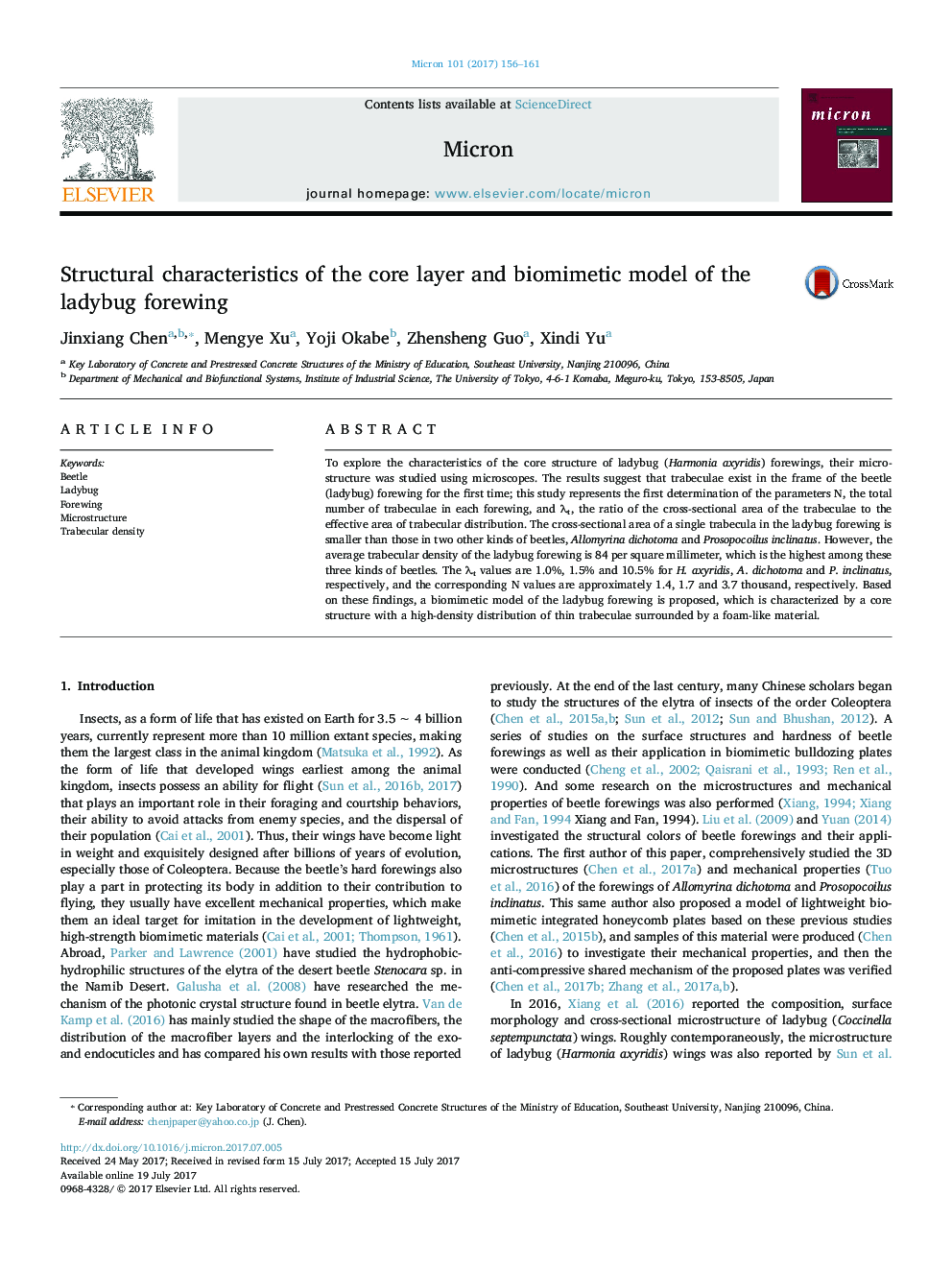 Structural characteristics of the core layer and biomimetic model of the ladybug forewing