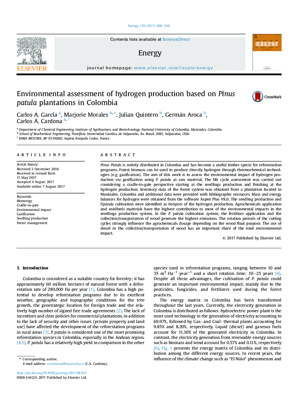 Environmental assessment of hydrogen production based on Pinus patula plantations in Colombia